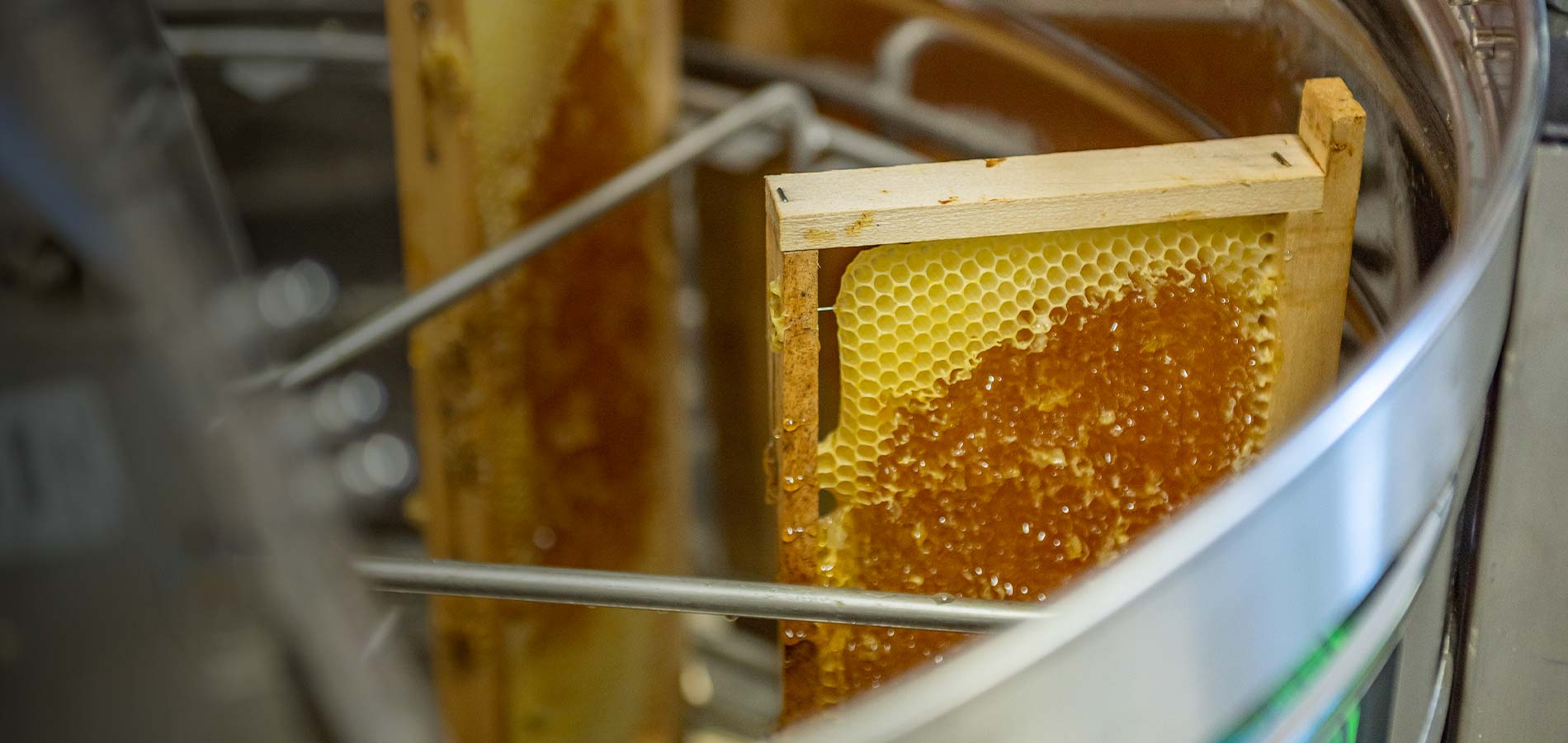 Équipement d'extraction de miel en acier inoxydable – Presseur et  extracteur manuel 2 en 1, apiculture ou usage commercial – Comprend un sac  filtrant : : Commerce, Industrie et Science