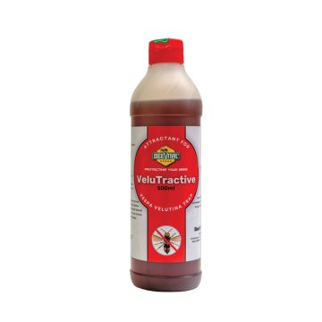 Appât pour frelon asiatique - VeluTractive 500 ML - Beevital