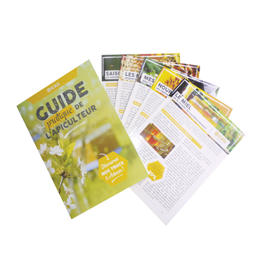 Livre - Guide pratique de l'apiculteur - Paul Fert