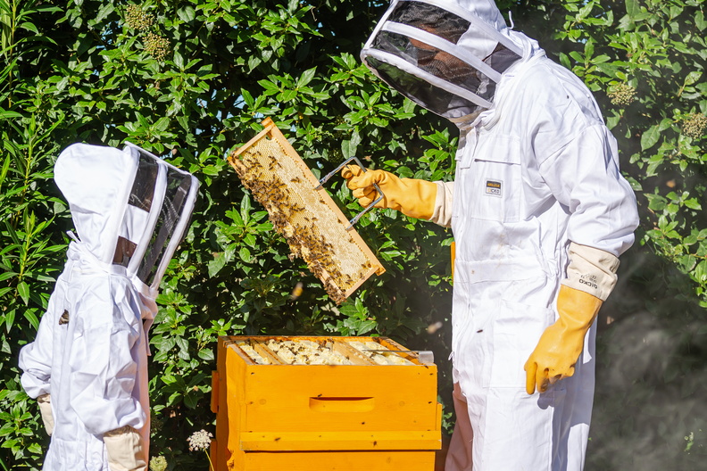 Cire d'abeille en bloc 1kg - Cire - Matériel apiculteur