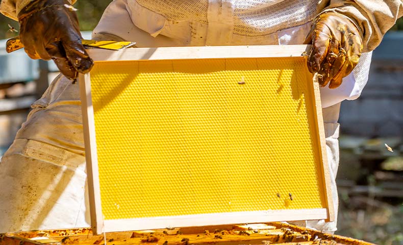 6 Feuilles de cire d'abeille pour création de bougies