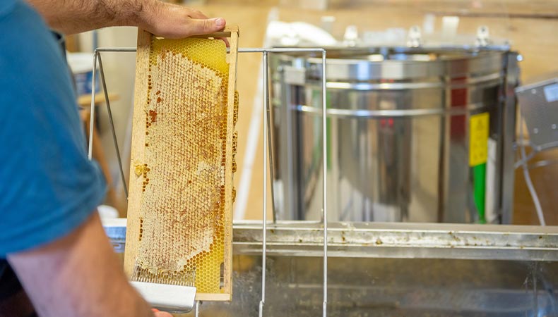 Mélangeurs à miel : Mélangeur miel simple cuve - 200 L - Icko Apiculture