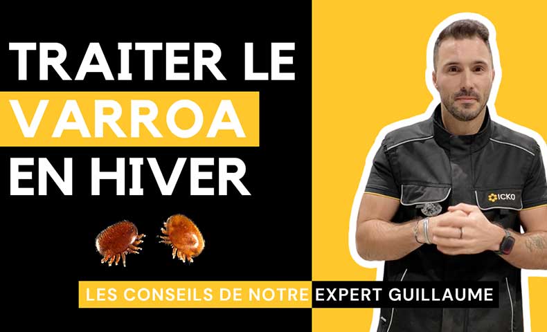 Traiter le varroa en hiver